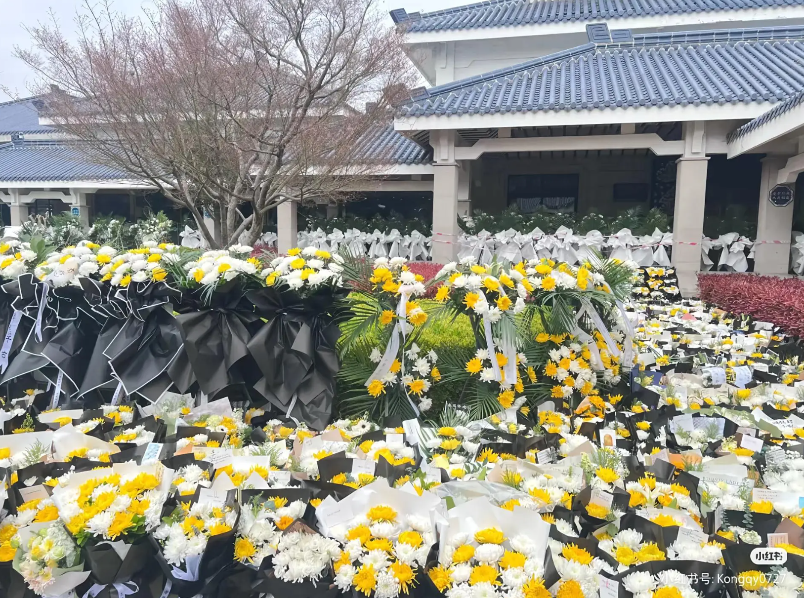 张雪峰追悼会今日举行 民众自发起大早排长队送别