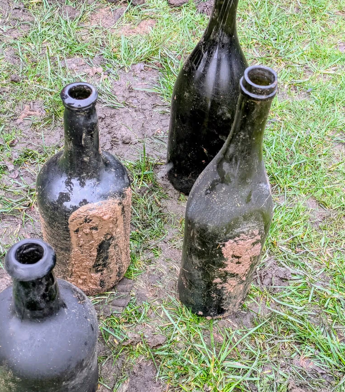 英国一高尔夫球场塌陷惊现百年酒窖：酒瓶遍地 但一滴都没了