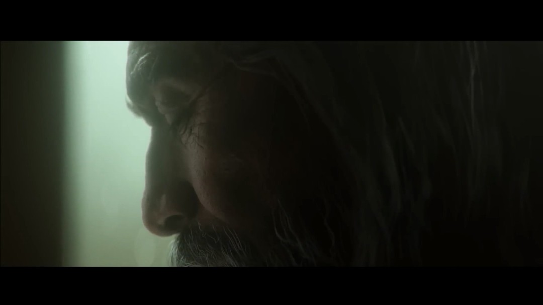 《暗黑破坏神4：憎恨之王》开场CG动画 中文配音