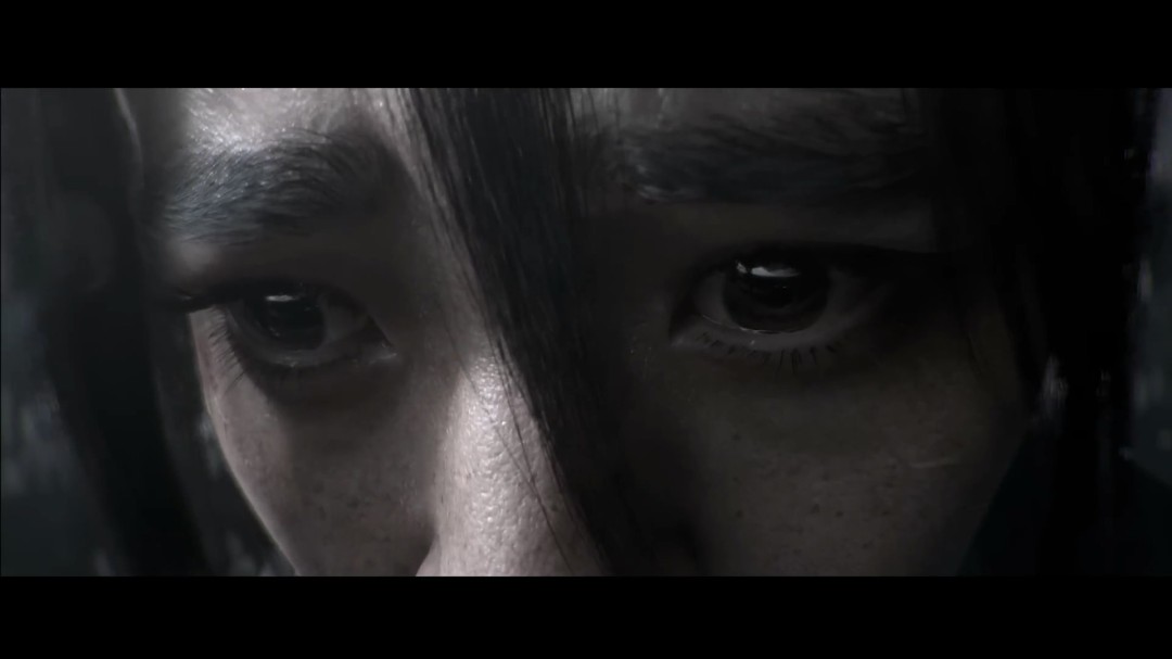 《暗黑破坏神4：憎恨之王》开场CG动画 中文配音