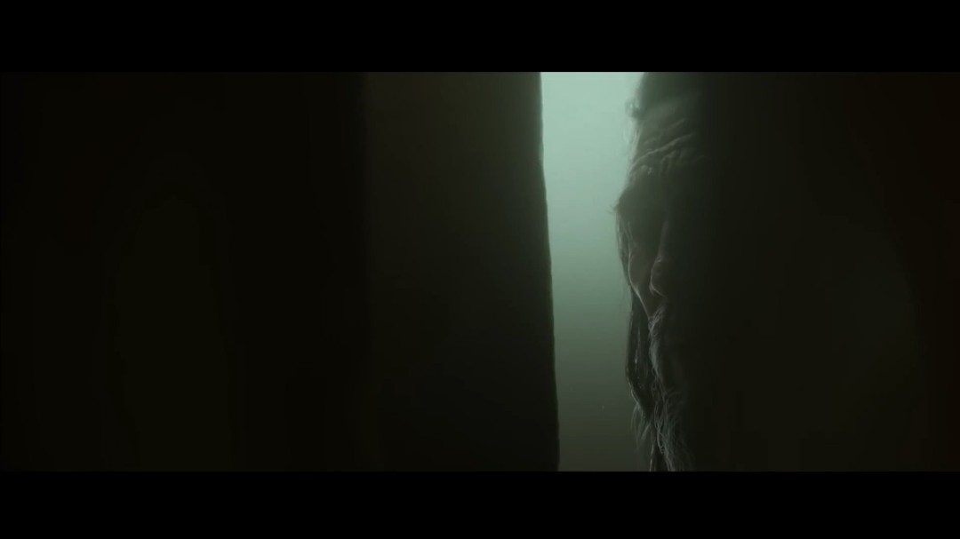 《暗黑破坏神4：憎恨之王》开场CG动画 中文配音