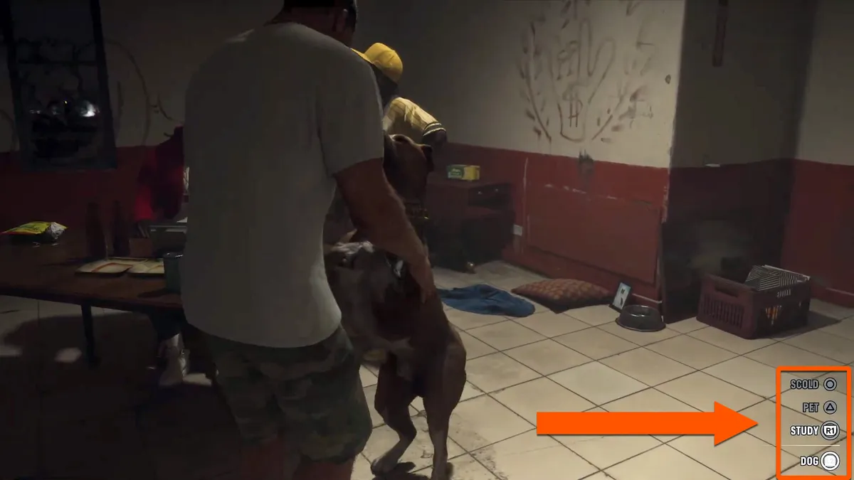 《GTA6》收录超170种动物 设稀有、可发现与传奇类别